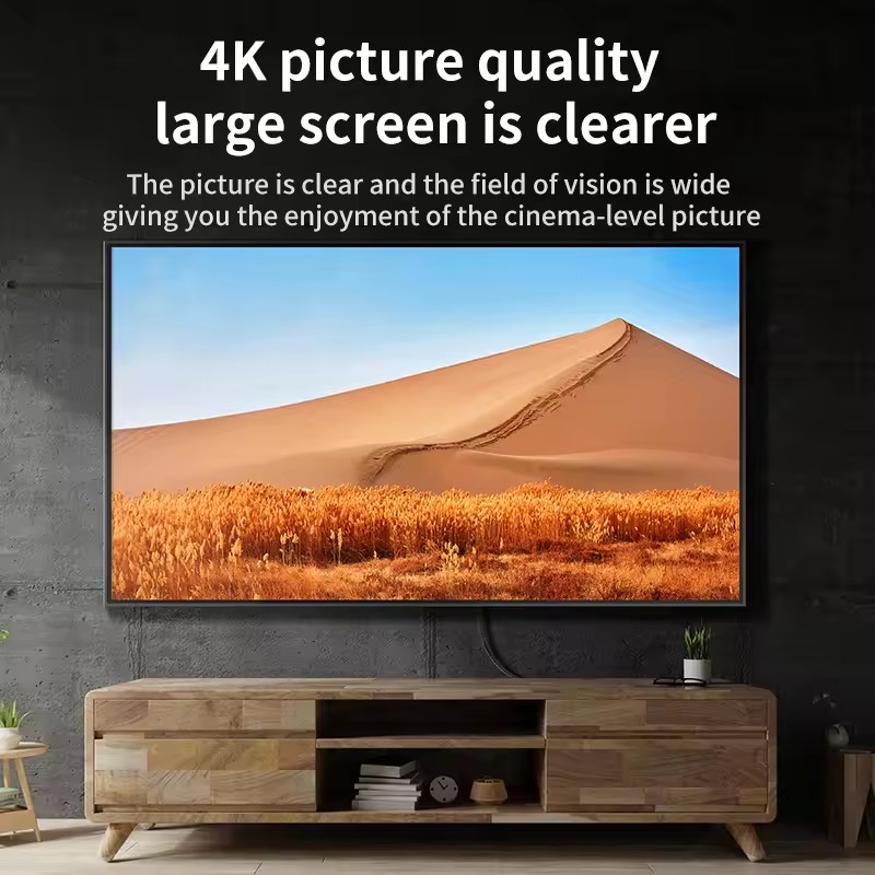 สายอะแดปเตอร์ DisplayPort แบบท - Home Cinema Projector 4K บทวิจารณ์และราคา
